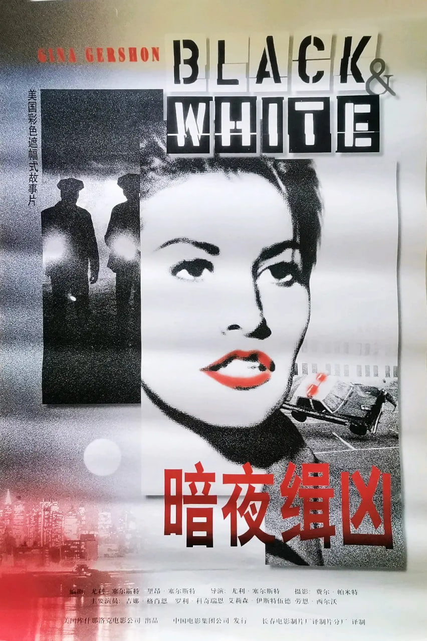 暗夜緝兇