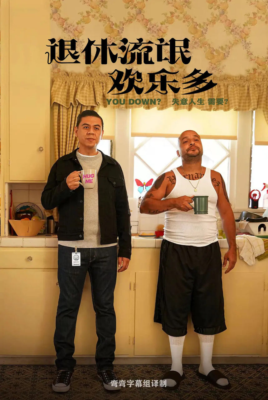 這個(gè)傻瓜 第一季(全集)