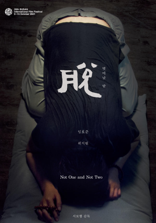 不是一，也不是二