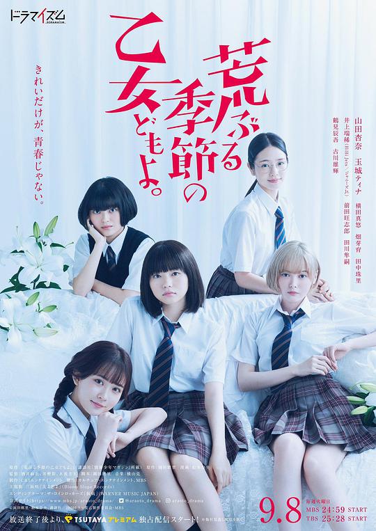 騷動時節(jié)的少女們啊(全集)