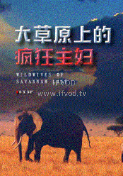 大草原上的瘋狂主婦(全集)
