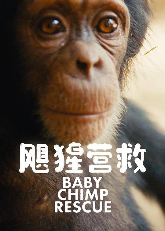 颶猩營(yíng)救(全集)