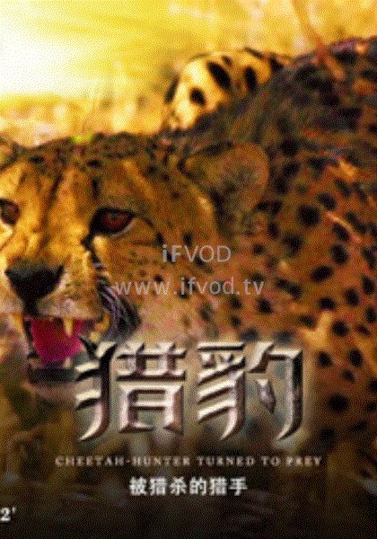 獵豹·被捕殺的獵手(全集)