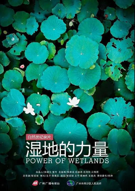 濕地的力量(全集)