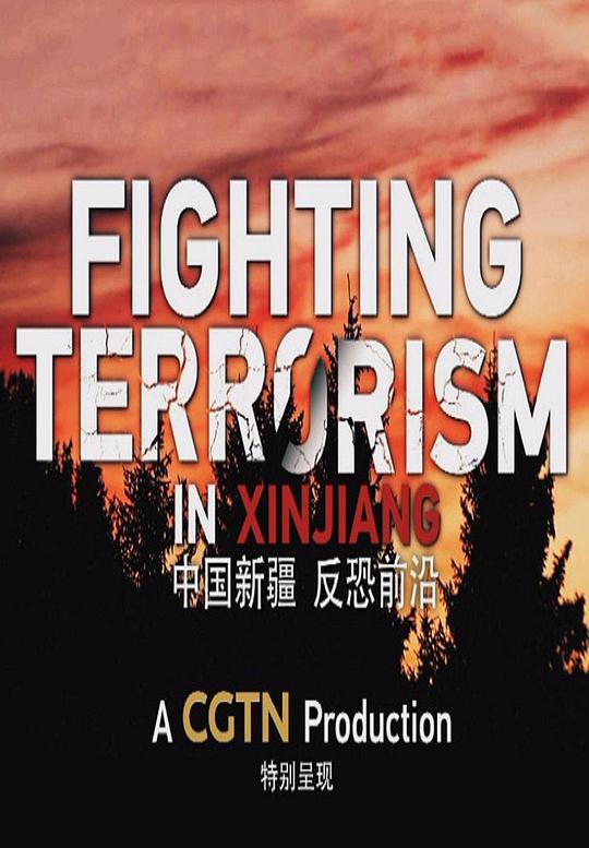 中國新疆反恐前沿(全集)