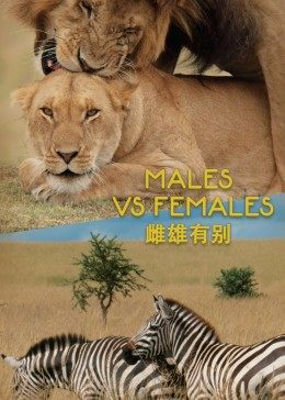 雌雄有別(全集)
