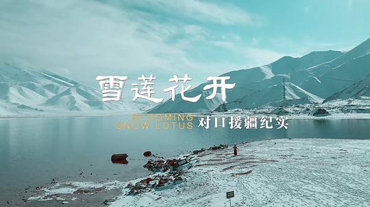 雪蓮花開——對口援疆紀(jì)實(全集)