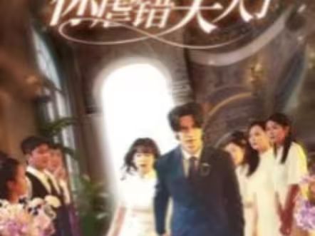 陸總住手吧，你虐錯夫人了(全集)