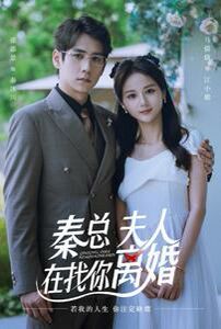 秦總，夫人在找你離婚(全集)