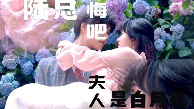 陸總懺悔吧，夫人才是白月光(全集)