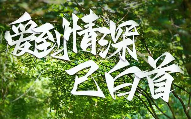 愛(ài)到情深已白首(全集)