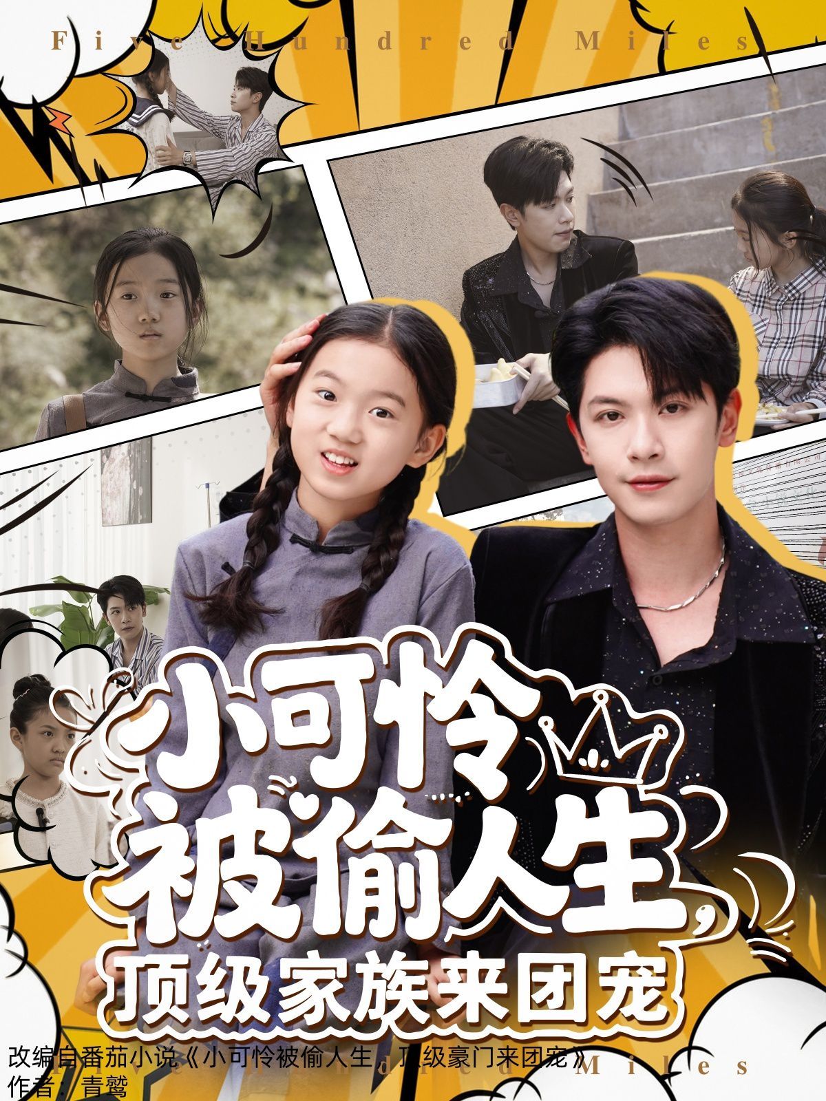 小可憐被偷人生，頂級(jí)家族來團(tuán)寵(全集)