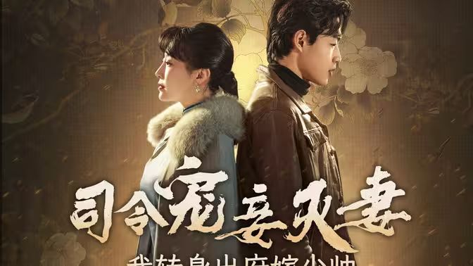 司令寵妾滅妻，我轉(zhuǎn)身出府嫁少帥(全集)